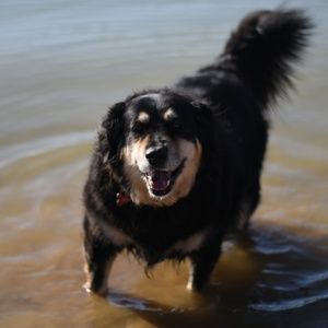 Meet your Posher, Forrest